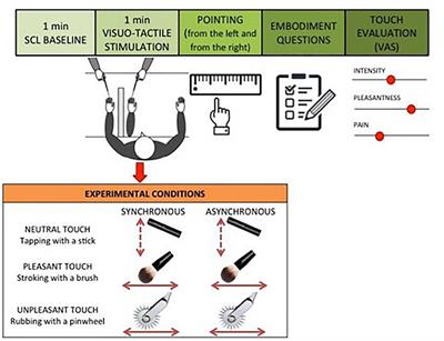 Does Nice or Nasty Matter? The Intensity of Touch Modulates the Rubber Hand Illusion